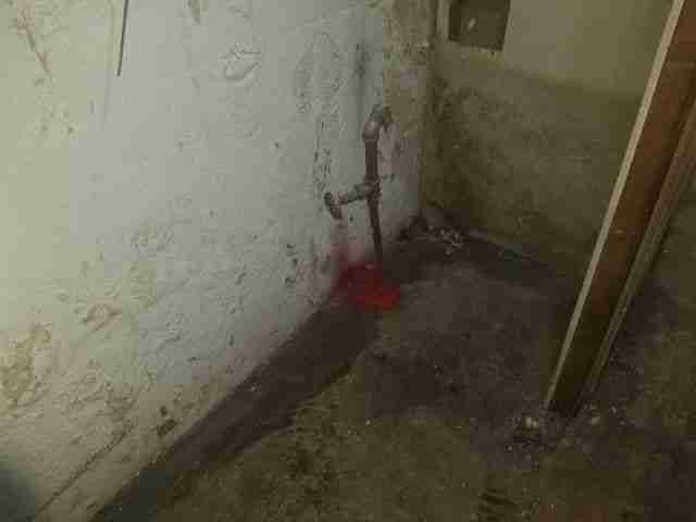 Testing again(44).jpg